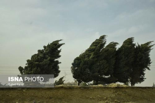 وزش باد نسبتا شدید در تهران