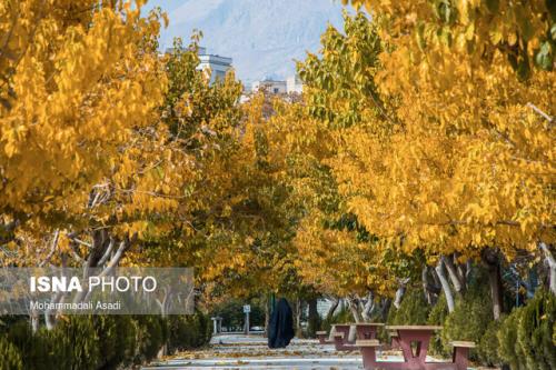دمای تهران به صفر درجه سانتیگراد می رسد