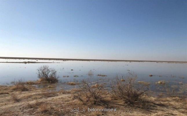 کاهش چشم گیر تعداد پرندگان مهاجر تالاب های تهران