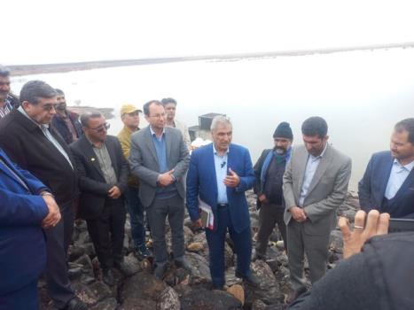 برنامه ریزی برای توزیع 300 هزار تن نهاده دامی میان عشایر امسال