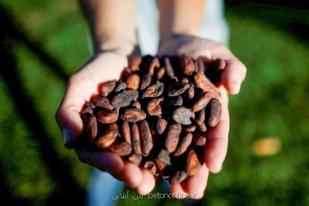 چرا شکلات تا این حد گران شد؟