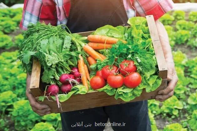 کشاورزی ارگانیک راهی برای حفظ زمین و سلامت مردم
