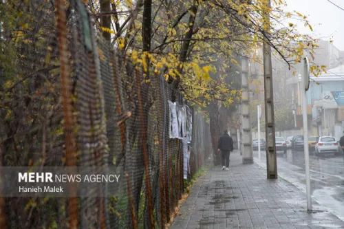 عبور روان در محورهای شمالی بارندگی باران و مه گرفتگی در جاده ۱۳ استان