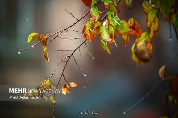 هواشناسی ایران امروز 5 شهریور بارندگی پراکنده و وزش باد در بعضی نقاط