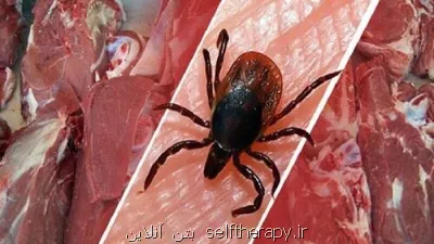 شناسایی ۹ مورد تب کریمه کنگو در استان یزد