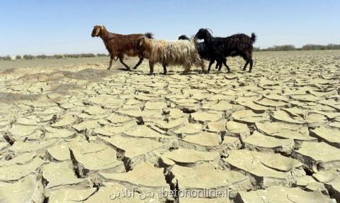 خشكسالی در كرمان بحران بوجود آورده است