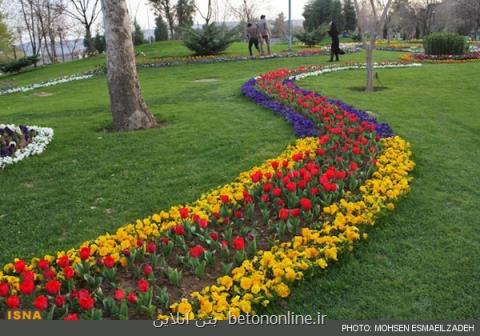 اعتراض انجمن متخصصان فضای سبز به ممنوعیت كاشت چمن در تهران
