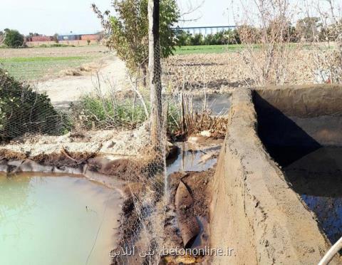 نشت نفت به آب های زیرزمینی اطراف پالایشگاه تندگویان تایید شد