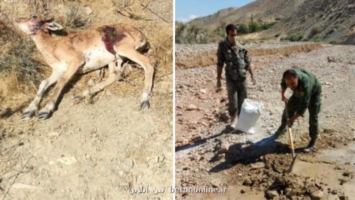ضرورت ورود حناچی به موضوع جابجایی نیروهای شركت شهر سالم